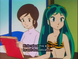 Lum's Education Lecture Course for Boys